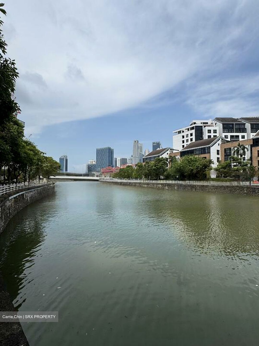 THE ROBERTSON OPUS (D9), Apartment #452116101